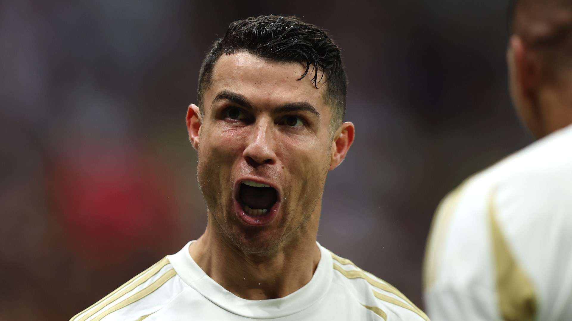 也是中国网 也是中国网